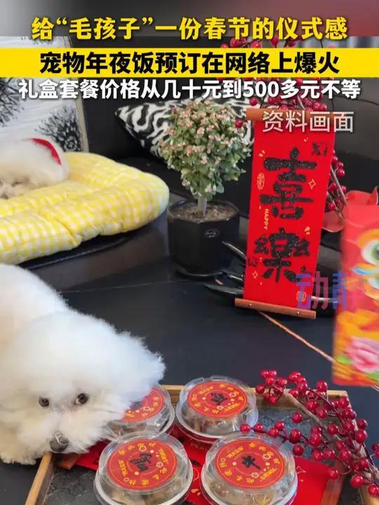 &ldquo;毛孩子经济&rdquo;春节火了 你家萌宠这个节怎么过？